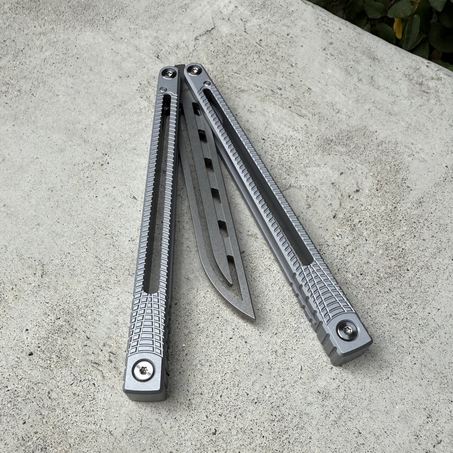 Dodo Industries - Raphus (Trainer)