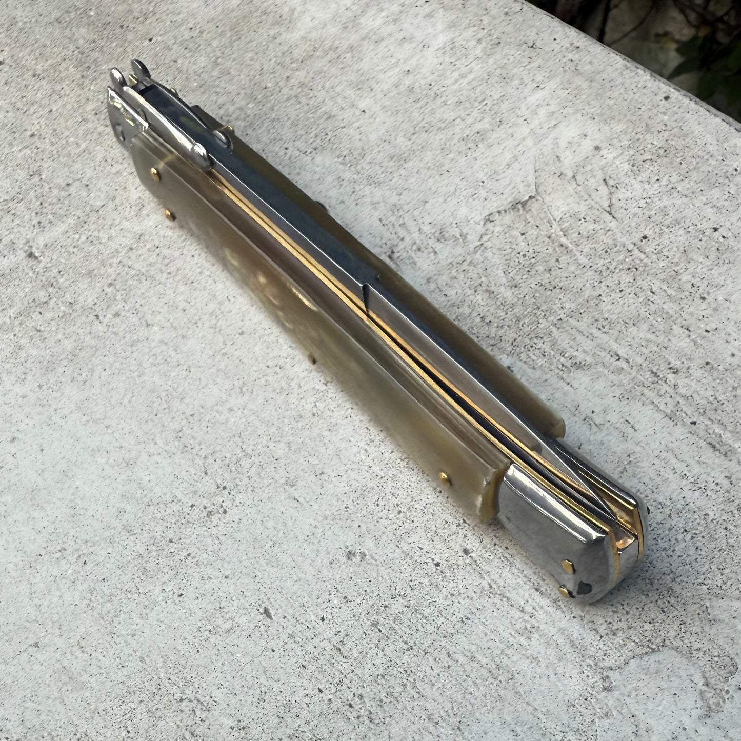 Frank Beltrame Switchblade White / Tan Horn