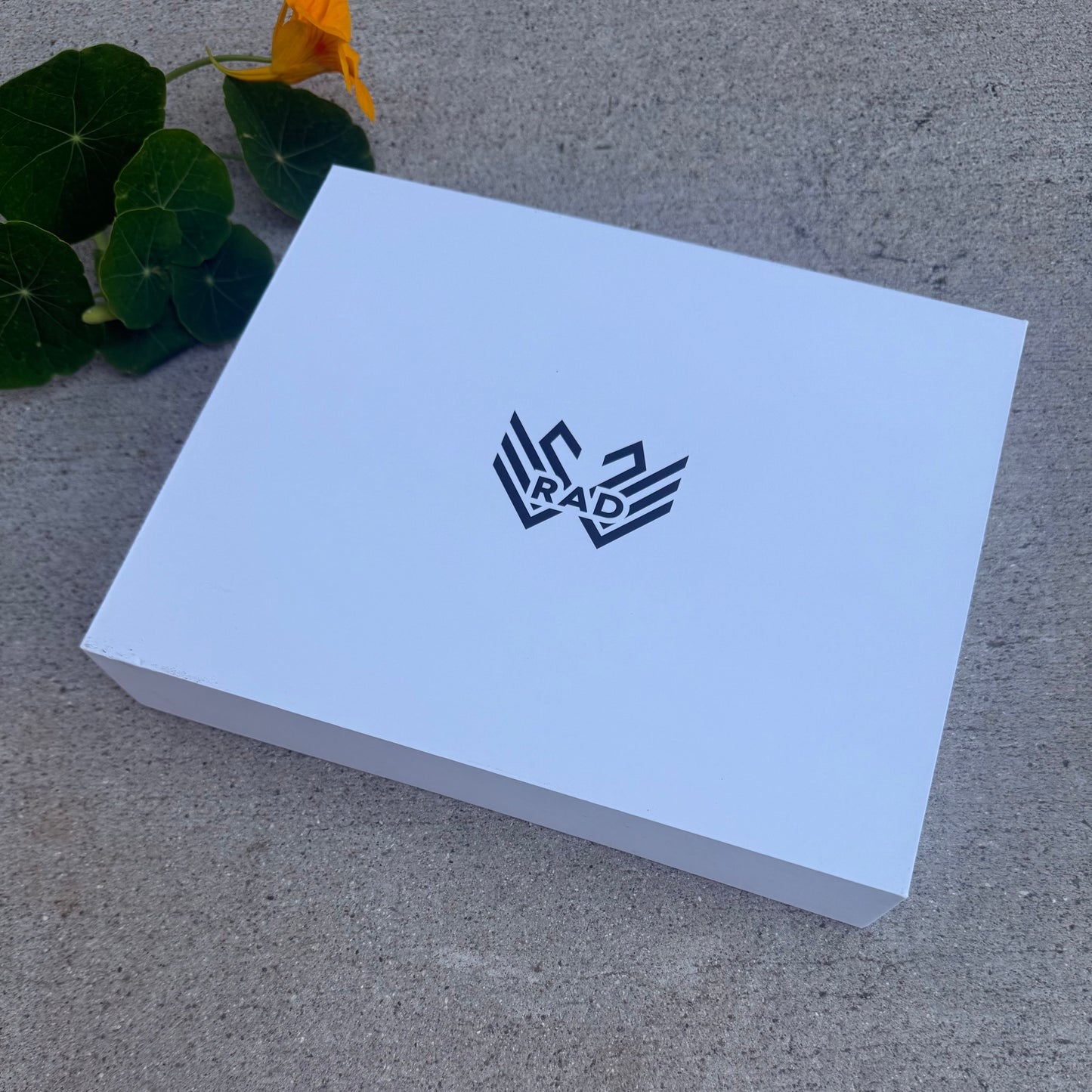 RAD BALISONG - Cygnus V2