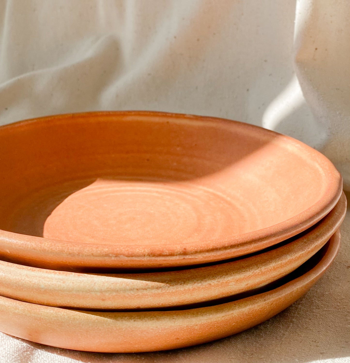 Vintage Terracotta Plate (Set of 3)