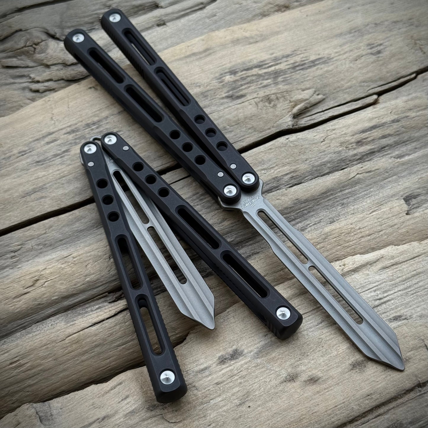 JK Design, Regime Trainer