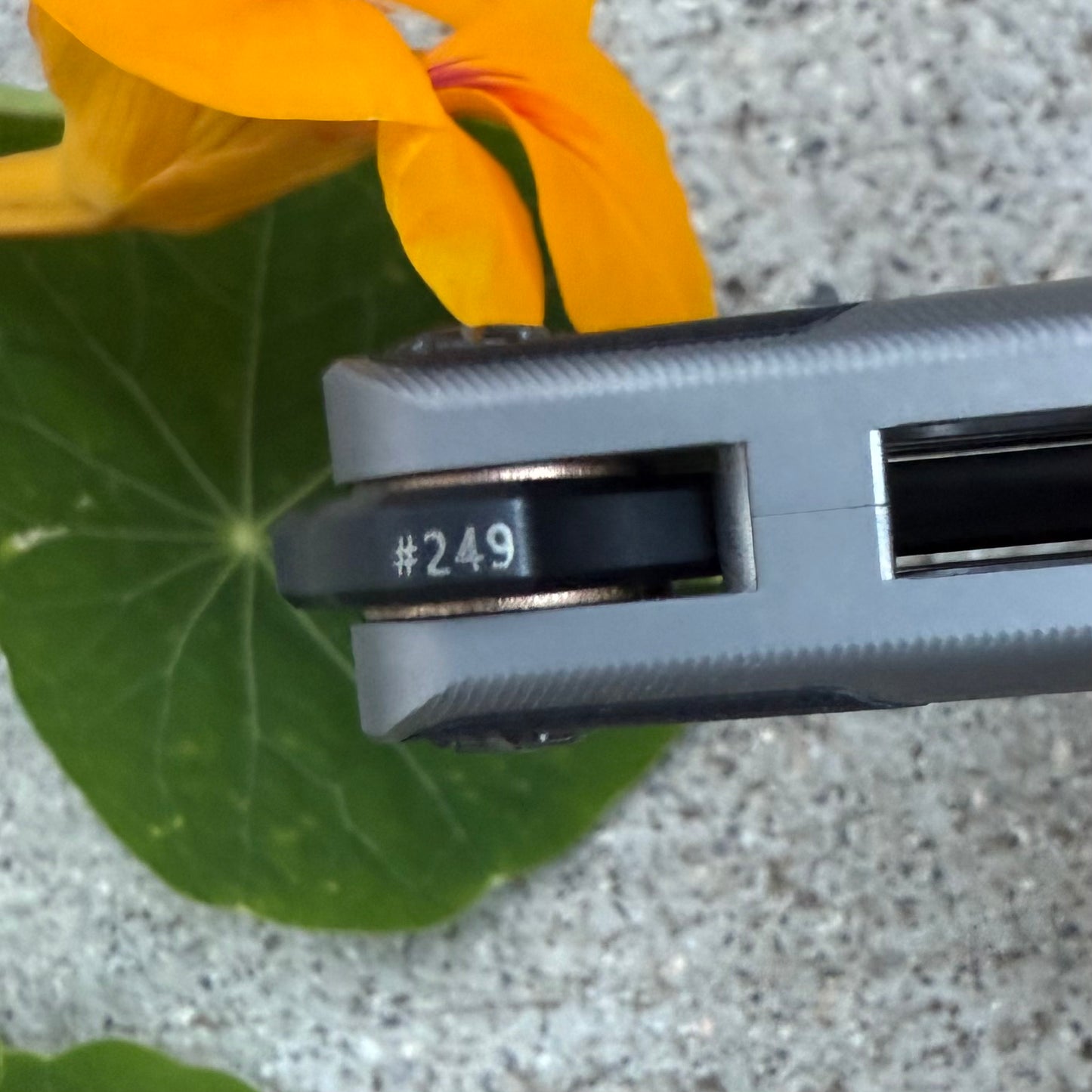 RAD BALISONG - Cygnus V2