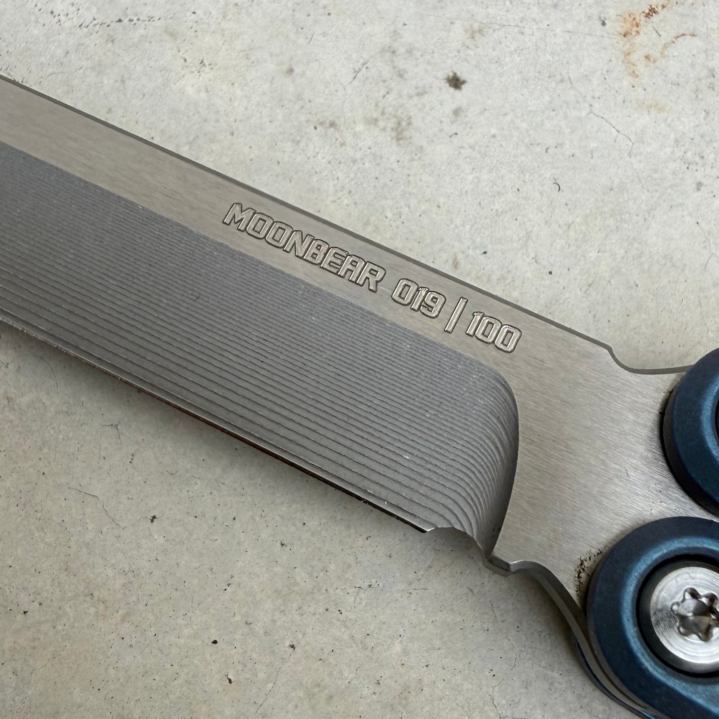 Labworx And Jk Design / Moonbear