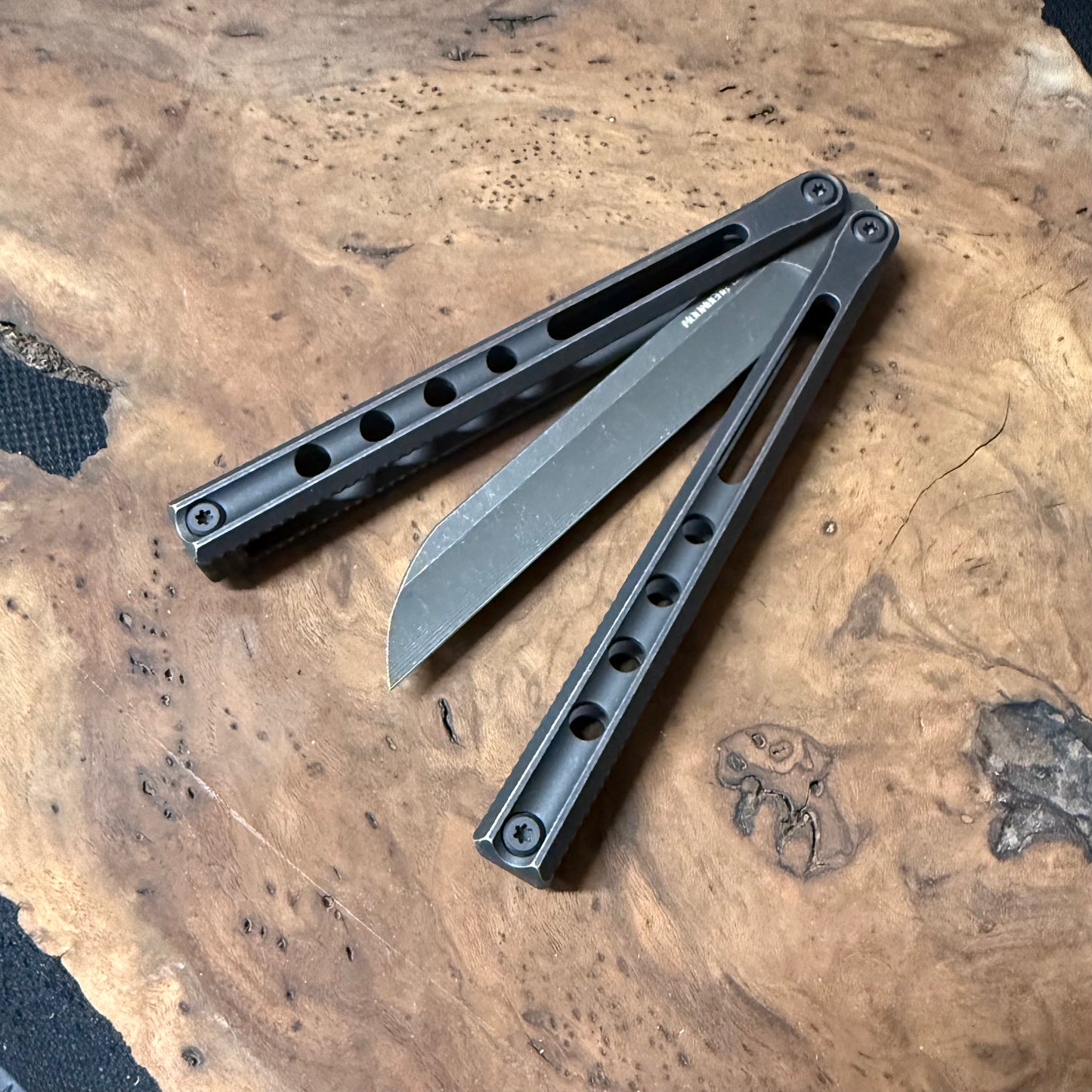 Labworx And Jk Design / Moonbear