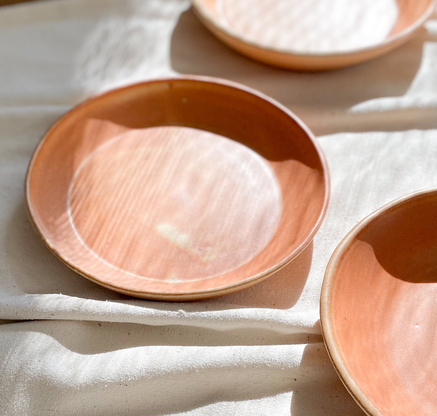 Vintage Terracotta Plate (Set of 3)