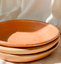Load image into Gallery viewer, Vintage Terracotta Plate (Set of 3)
